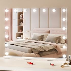 Hollywood Vanity Mirror With Lights W/ USB Type C Desktop Wallmount 23.6in (Option: White)